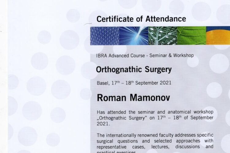 Роман Мамонов