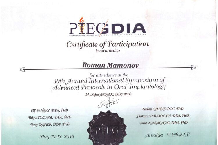 Роман Мамонов